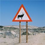 Gemsbok warning sign